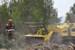 Les brigades forestals de Diputació condicionen un tallafocs de 27 hectàrees a Domeño Viejo