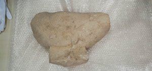 El Alcalde y el Presidente de La Viña visitan la escultura íbera descubierta en unas excavaciones de la Cooperativa de La Font de la Figuera - (foto 2)