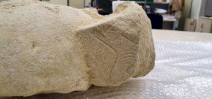 El Alcalde y el Presidente de La Viña visitan la escultura íbera descubierta en unas excavaciones de la Cooperativa de La Font de la Figuera - (foto 3)