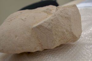 El Alcalde y el Presidente de La Viña visitan la escultura íbera descubierta en unas excavaciones de la Cooperativa de La Font de la Figuera - (foto 5)