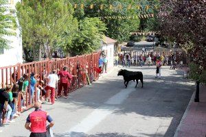 El adelanto electoral paraliza la modificación de la Ley de Espectáculos Públicos - (foto 2)