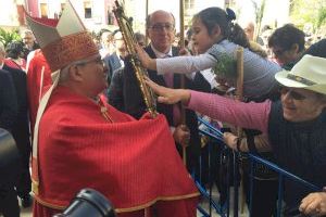 Llega Santa Faz 2019: Un año de Jubileo - (foto 4)