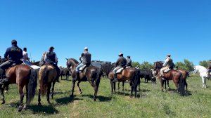 Utiel se convierte en capital de la trashumancia y reúne a cientos de caballistas y aficionados