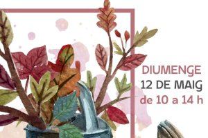 El Mercado de Flores y Plantas llega a l’Hort de Trénor de Torrent