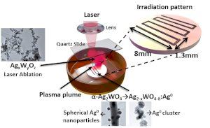 La revista Scientific Reports (Nature) sitúa un artículo con participación de personal investigador de la UJI como hot paper del 2018 - (foto 3) La revista Scientific Reports (Nature) sitúa un artículo con participación de personal investigador de la UJI como hot paper del 2018 - (foto 3)