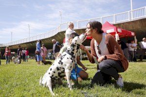 Sandra Gómez: “La primera visita al veterinario será gratuita para quien adopte una mascota abandonada”