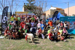 Torrent celebra su primera Canicross, con las mascotas como protagonistas