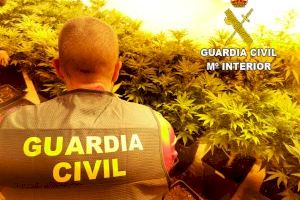 La Guardia Civil desmantela una organización criminal que reclutaba a personas búlgaras para cultivar marihuana