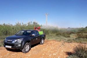 Alcalà-Alcossebre avança els tractaments contra els mosquits en zones no urbanes a causa de la pujada de temperaturas