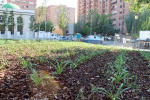 El nou jardí de Rubén Darío reinterpreta l’estructura de l’horta