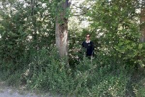 Burriana continúa adelante con los tratamientos de endoterapia y control de las plantaciones en el Clot - (foto 2)