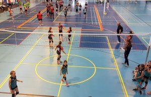 El Alevín del Voley La Nucía cayó en octavos de la Final Autonómica