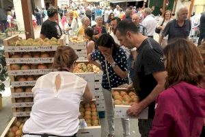 El Perelló ya está preparado para su VIII Feria Gastronómica del tomate