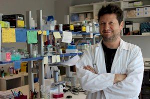 La Fundación Ramón Areces selecciona un proyecto del IIS La Fe para ensayar una nueva estrategia contra la enfermedad de Huntington
