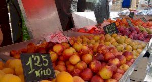 LA UNIÓ denuncia que els preus de la fruita d’estiu se situen de mitjana un 60% més baixos que en l’anterior campanya