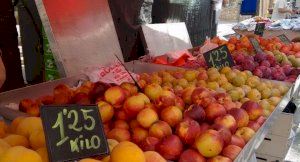 Denuncian que los precios de la fruta de verano son un 60% más bajos que el año pasado