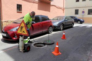 Torrent refuerza el control de plagas de roedores, cucarachas y mosquito tigre ante la subida de las temperaturas