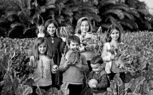 L’Institut Valencià de Cultura continua a La Filmoteca el cicle sobre alimentació sostenible