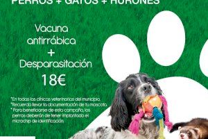 Este sábado arranca la campaña de vacunación antirrábica