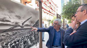 La calle Gambo, un museo al aire libre con ‘Génesis,’ de Sebastião Salgado