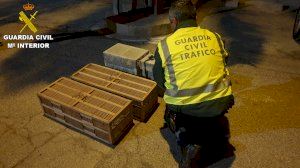 La Guardia Civil detiene a un varón que transportaba 400 jilgueros sin documentación