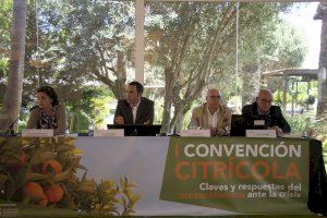 Cooperatives Agro-alimentàries aborda en una convención los retos y respuestas del cooperativismo ante la crisis citrícola - (foto 3)