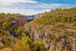 El Consell expresa su satisfacción por la designación del Valle del Cabriel y el Alto Turia como Reservas de la Biosfera de la Unesco