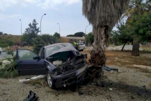 Se salta un control policial y choca contra una palmera en Valencia