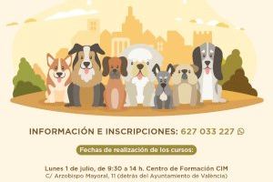 Paterna ofrecerá un curso gratuito de obediencia canina urbana