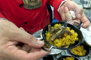 ¿Paella de escorpiones y tarántulas en Valencia? - (foto 3)