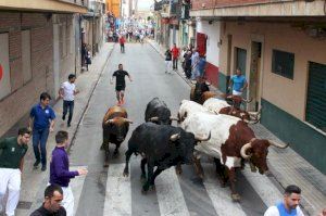 És necessària la figura del segon metge en les festes dels ‘Bous al carrer’?