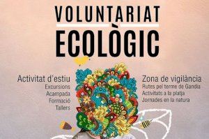 El Voluntariat Ecològic de Gandia compleix 25 anys - (foto 2)