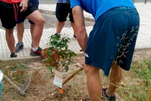 Alzira impartirà 2 programes formatius de qualificació bàsica PFQB per a alumnat amb certificat de discapacitat