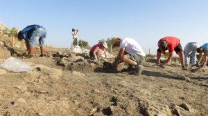 Conclou un cicle de sis anys d'excavacions arqueològiques en l'assentament ibèric del Cabeçó de Mariola - (foto 2)