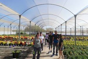 Arranquen els dos tallers d’ocupació per a persones amb dificultats d’inserció laboral - (foto 2)