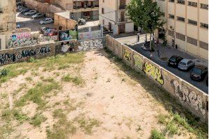 L'IVAM presenta 'Jardí', la història d'un solar al costat del museu que es va convertir en un jardí d'escultures