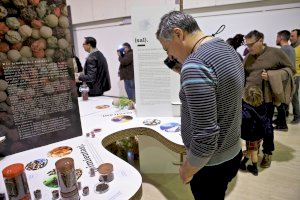 L'exposició de la UA 'Espècies: l'univers del sabor', en l'Auditori Teulada Moraria