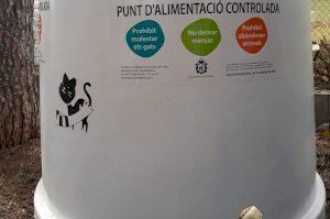 Es posen en marxa actuacions municipals per a la gestió de colonies felines