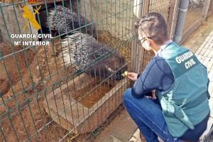 Desmantelan un zoológico clandestino en Villafranca de los Barros que operaba a nivel nacional