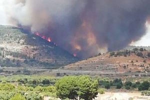 LA UNIÓ  assenyala que aproximadament el 10% de les hectàrees afectades per l'incendi de Beneixama estan cultivades - (foto 2)