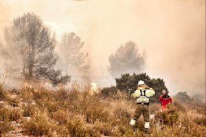 830 hectàrees cremades i 80 veïns desallotjats per l'incendi a Beneixama