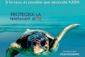 Almenara se adhiere a la campaña "Tortugas en el Mediterráneo" de la Fundació Oceanogràfic