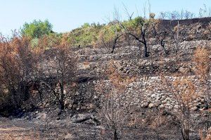 La Guardia Civil investiga a una persona por un incendio forestal en San Mateo