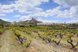 El Poble Nou de Benitatxell se prepara para vivir unas increíbles fiestas de Santa María Magdalena