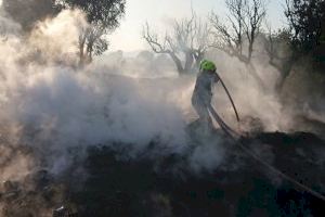 Los bomberos del SPEIS evitan un incendio de mayores dimensiones al controlar con celeridad el fuego de matorrales y árboles en camino de la Huerta