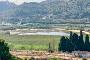 Cullera injecta 2,7 milions de litres per a mantindre el nivell de la Bassa de Sant Llorenç