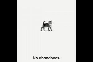 Valencia estrena campaña animalista para el verano: "No abandones. Quién pierde un amigo, pierde un tesoro"