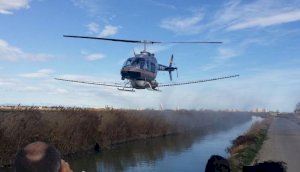 Los últimos avances en control de plagas se presentarán esta semana en Valencia