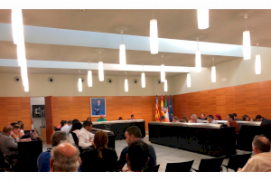 San Vicente aprueba en pleno la estructura  de la nueva Corporación Municipal