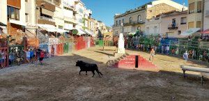 Centenares de personas participan en la concentración de peñas durante las Fiestas de Agosto de Cabanes - (foto 2)